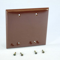Eagle Brown Standard 2-Gang Blank Thermoplastic Unbreakable Wallplate Cover 5137B