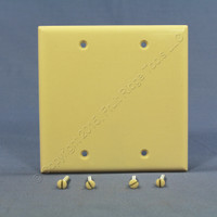 Eagle Ivory STANDARD 2-Gang Blank Cover Box Mounted Thermoset Wallplate 2137V