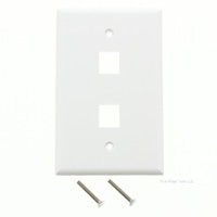 Eaton White Large Flush Mount Midsize 1-Gang Modular 2-Port Wallplate 5520W-MSP