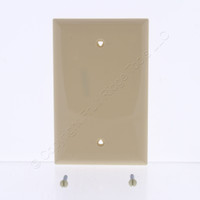 Cooper Ivory Antimicrobial Unbreakable Mid-Size 1G Blank Wallplate Cover PJ13V