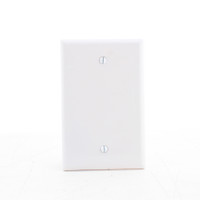 Eaton Commercial White Unbreakable Mid-size 1-Gang Blank Wallplate Cover PJ13W