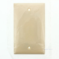 Mulberry AHP14I Ivory 1-Gang Blank Nylon Wallplate Standard Size Cover Box Mount