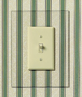 Creative Accents- Clear Wall Protector Plate for any 1G Wallplate