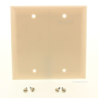 Pass and Seymour Ivory 2-Gang Blank Standard Size Plastic Wallplate Cover Strap Mount SP24-I