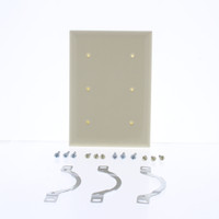 Pass and Seymour Ivory Standard Size 3-Gang Blank Thermoset Wallplate Plastic Cover Strap Mount SP34-I