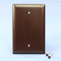 Pass & Seymour TrademasterJumbo 1-Gang Brown Thermoplastic Unbreakable Nylon Blank Wallplate Cover TPJ13