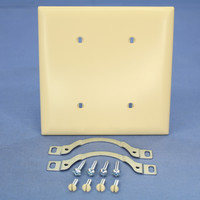 PS TrademasterIvory 2-Gang UNBREAKABLE Blank Cover Strap Mount Wallplate TP24-I