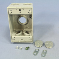 Pass and Seymour Gray Die-Cast Aluminum Weatherproof 1-Gang Deep Outlet Box 5-Hole 3/4" WPB35
