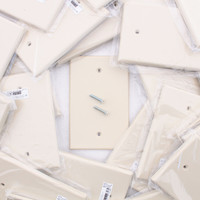 Hubbell PJ13I Ivory Unbreakable Mid-Size Covers 1-Gang Nylon Blank Wallplate Box Mount 25-pack