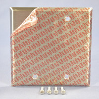 Eagle 2-Gang Type 302 NON-MAGNETIC Stainless Steel BLANK Cover Wall Plate 93152