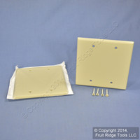 2 Leviton Ivory RESIDENTIAL 2-Gang Blank Cover Wallplates Box Mount 86025