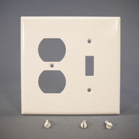 Eagle Mid-Size White 2-Gang Combination Switch Receptacle Wallplate Outlet Cover 2038W
