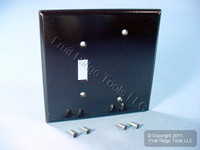 Leviton Oversize 2-Gang Brown Blank Switch Cover Jumbo Plastic Wall Plate 85106