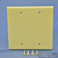 New Leviton Ivory 2-Gang Blank Box Mount Cover Plastic Standard Wallplate 86025