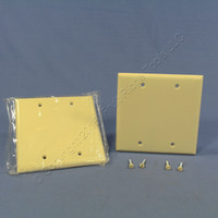 2 Eagle Ivory STANDARD 2-Gang Blank Cover Box Mounted Thermoset Wallplates 2137V