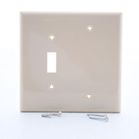 Cooper Mid-Size Ivory Thermoplastic 2-Gang Blank Switch Cover Wallplate PJ113V
