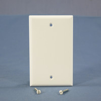Cooper White Thermoset Standard 1-Gang Blank Cover Box Mounted Wallplate 2129W