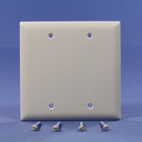 Pass and Seymour Trademaster® Light Almond 2-Gang Blank Box Mount Unbreakable Nylon Wallplate Cover TP23-LA