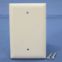 Pass & Seymour TradeMaster Jumbo 1-Gang White Thermoplastic Unbreakable Nylon Blank Wallplate Cover TPJ13-W