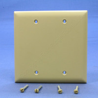 P&S Trademaster Ivory 2-Gang Blank Box Mount Unbreakable Wallplate Cover TP23-I