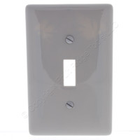 Hubbell Gray Commercial Grade 1-Gang Unbreakable Mid-Size Toggle Switch Cover Nylon Wallplate Switchplate NPJ1GY