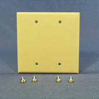 Cooper Ivory Standard Grade 2-Gang Blank Mid-Size Wallplate Cover Plate 2037V