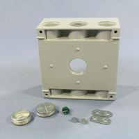 Pass and Seymour Gray Die-Cast Aluminum Weatherproof 2-Gang Deep Outlet Box 3-Hole 3/4" WPB332
