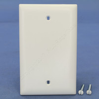 Pass and Seymour Trademaster White UNBREAKABLE Nylon Blank Cover Box Mount Wallplate TP13-W