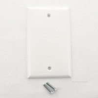 Ace White Thermoset Standard Size 1-Gang Blank Cover Box Mounted Plastic Wallplate Residential Grade