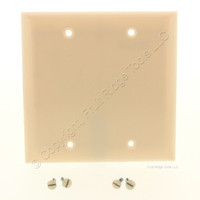 Pass and Seymour Ivory 2-Gang Blank Standard Size Plastic Wallplate Cover Strap Mount SP24-I