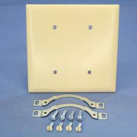 PS Trademaster Ivory 2-Gang UNBREAKABLE Blank Cover Strap Mount Wallplate TP24-I