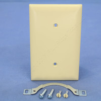 PS Trademaster Ivory 1-Gang UNBREAKABLE Blank Cover Strap Mount Wallplate TP14-I