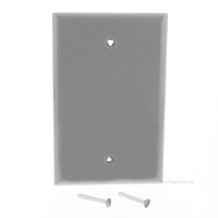 Cooper Commercial Grade Gray Polycarbonate Unbreakable Mid-Size 1-Gang Blank Wallplate Cover 3.12"W x 4.87"H PJ13GY
