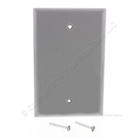 Cooper Commercial Grade Gray Polycarbonate Unbreakable Mid-Size 1-Gang Blank Wallplate Cover 3.12"W x 4.87"H PJ13GY