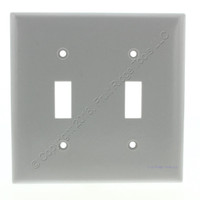 Pass and Seymour Gray Standard Size 2-Gang Dual Toggle Switch Thermoset Cover Wallplate SP2-GRY
