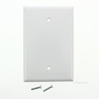 New Eagle White 1-Gang Box Mount Blank Wallplate Oversize Thermoset Plastic Cover 2729W
