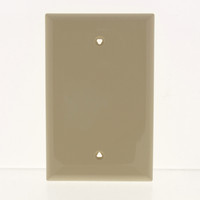 Eaton Commercial Ivory Unbreakable Mid-Size 1-Gang Blank Wallplate Cover PJ13V