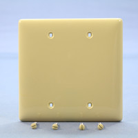Hubbell Ivory UNBREAKABLE Mid-Size 2-Gang Thermoplastic Box Mount Blank Nylon Wallplate Cover NPJ23I