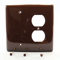 Hubbell Mid-Size Brown Combination Blank Receptacle Outlet Cover 2-Gang Wallplate Unbreakable Nylon NPJ138