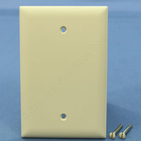Pass & Seymour TradeMaster Jumbo 1-Gang Light Almond Thermoplastic Unbreakable Nylon Blank Wallplate Cover TPJ13-LA