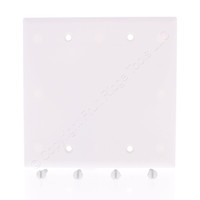 Eaton White STANDARD 2-Gang Blank Cover Box Mounted Thermoset Wallplate 2137W