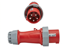 LEV560-P6-C6W-Y