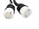 LEV2733