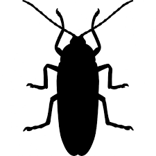 non-toxic-100-safe-tick-flea-roach-killer.png