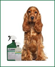 Dr Greengood Household Flea and Tick Killer- 32 Oz. Bottle (Ready to Use)