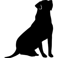 favicon.png
