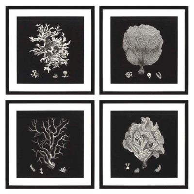 Eichholtz Black & Tan Corals Print