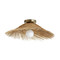 Arteriors Hayes Sconce/ Ceiling Mount