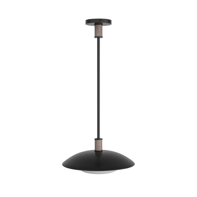 Arteriors Tobias Pendant