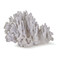 Regina Andrew Coral Art Piece Large - White